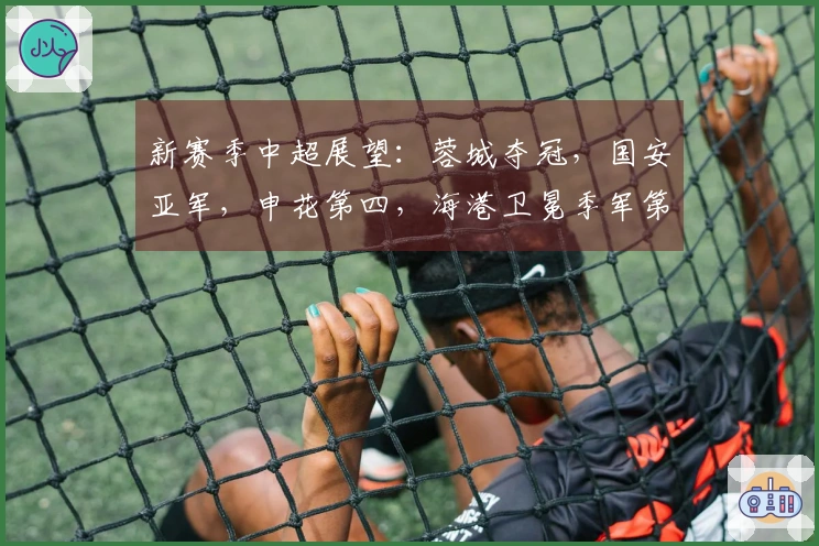 新赛季中超展望：蓉城夺冠，国安亚军，申花第四，海港卫冕季军第五
